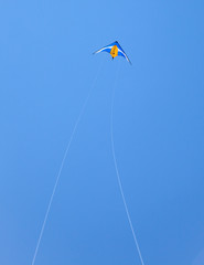 a kite flying