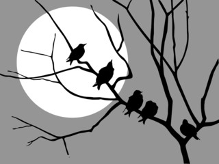 illustration migrating starling on branch tree