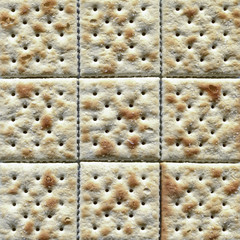 saltine cracker closeup