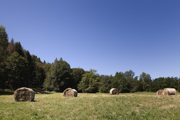 Hay bales on a field, trees background, clear blue sky
