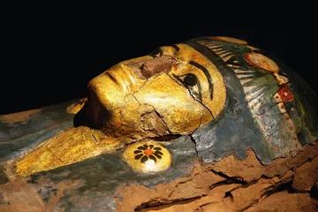 Foto op Aluminium Egypte sarcofaag © BGStock72