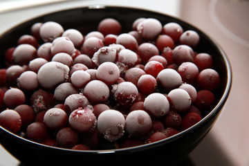 Berries covered with ice