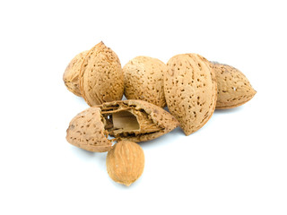 The broken nut near the whole