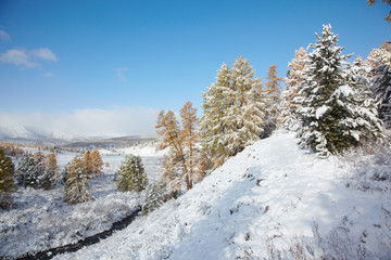 Altai under snow