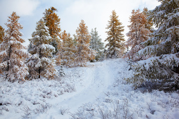 Fototapeta na wymiar Ałtaj drogowego pod śniegiem