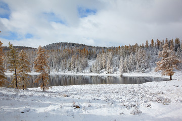 Altai under snow