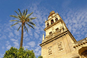 Fototapeta na wymiar Dzwonnica na Wielki Meczet w Kordobie w Hiszpanii