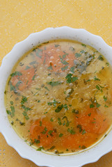 broth , chicken soup with noodles