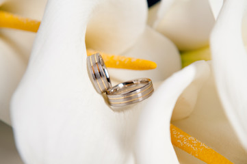 wedding rings