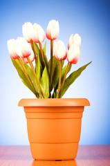 Bunch of tulip flowers on the table