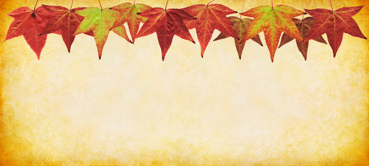 Naklejka na ściany i meble Fall Leaf Panorama