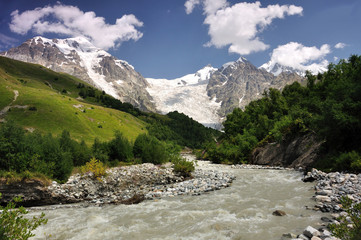 Adishi glacier with Adishi grove