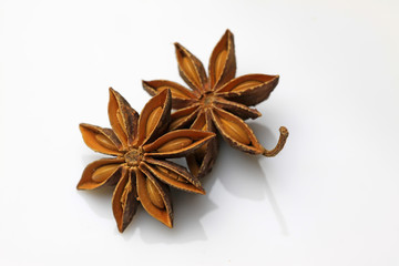 aniseed
