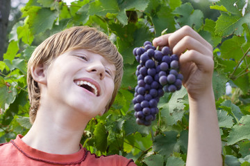 boy with grape