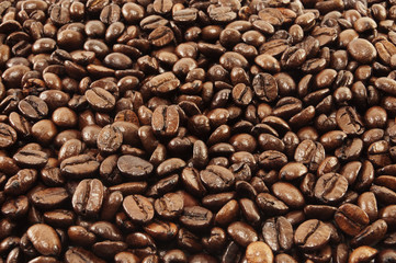 Coffee in grains
