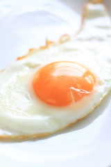 Close up of Fried egg