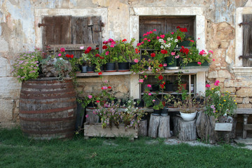 Old house with flowers