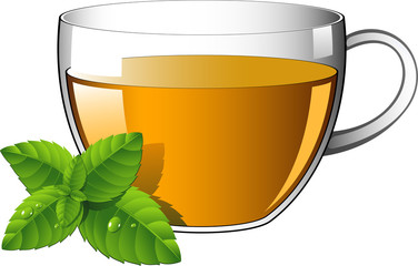 Glass cup of tea with mint leaves