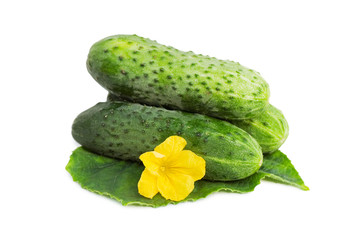 Green cucumber vegetable with leafs and flowers isolated