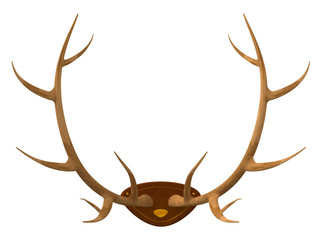 hunting trophy