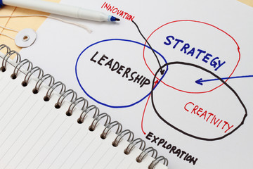 Obraz premium management diagram