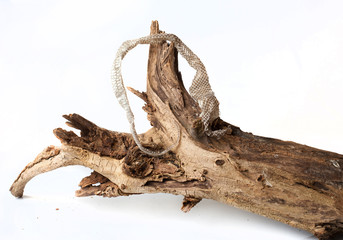 mue muer serpent vipère couleuvre peau perdre changer sèche se