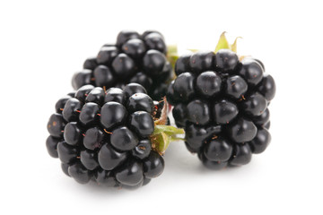 blackberries on white background