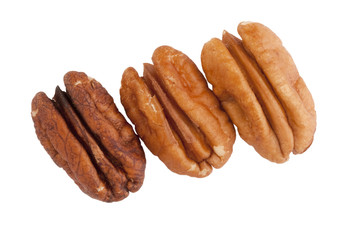Pecan
