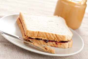 peanut butter and jelly sandwich