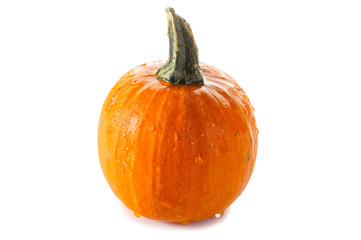 strange pumpkins- zucche strane