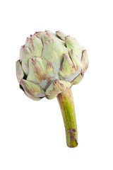 Fototapeta premium green artichoke