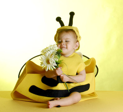 baby dressed up like a bee