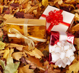 Gift box in autumn orange leaf.