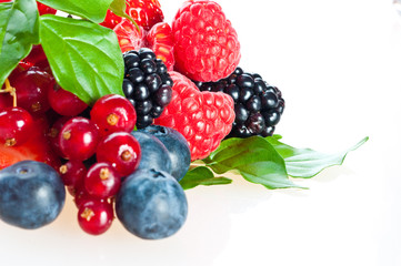 Beautiful berries