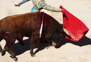 corrida