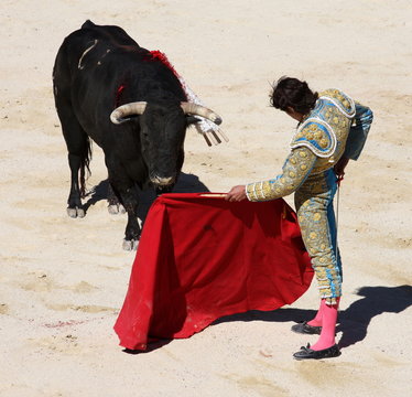 corrida