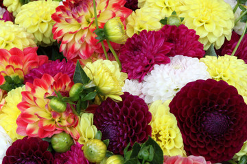 Bunter Blumenstrauss