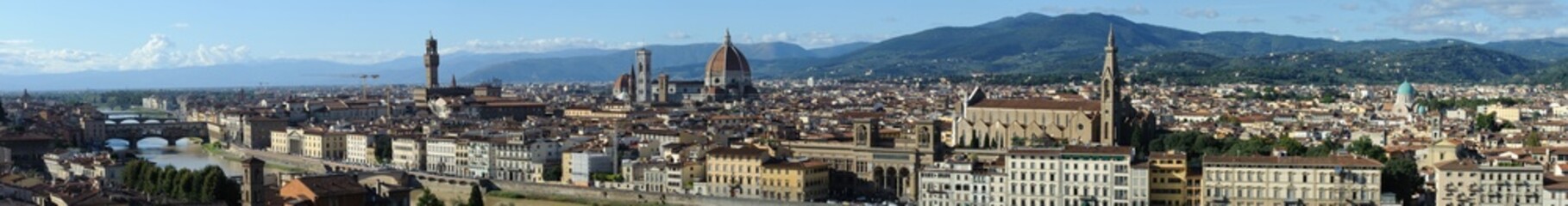 Fototapeta premium Panorama of Florence
