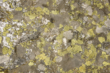 Stone background
