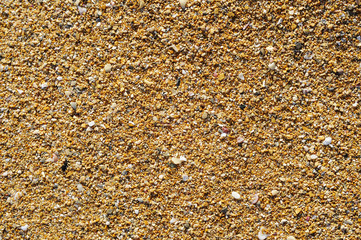 coarse-grained sand background