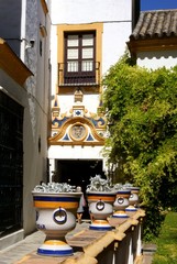 Scorcio dell'Alcazar