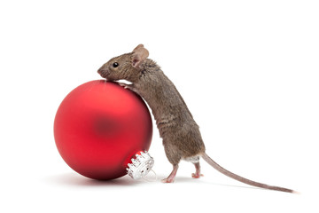 Christmas mouse and bauble isolated - 26036656