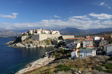 Fototapeta na wymiar Calvi, port jachtowy, cytadela, corse, Korsyka, Balagne