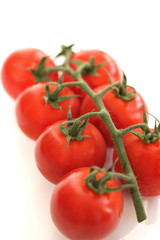 Tomatoes on the Vine