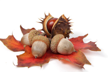 herbstlicher hintergrund