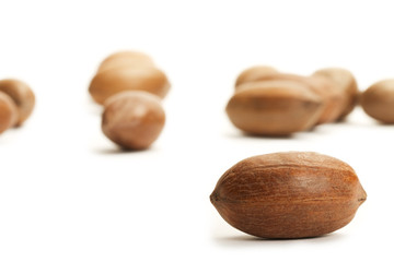 pecanuss vor vielen auf weissem hintergrund