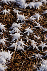Snowflakes
