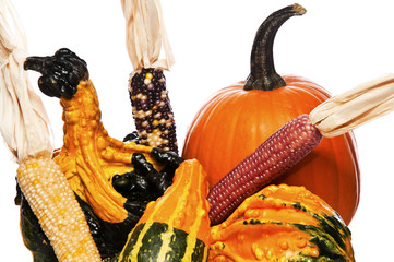 Autumn Harvest
