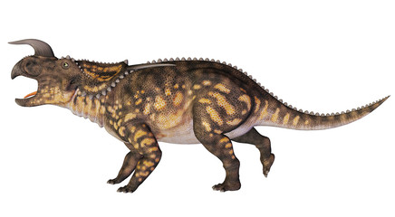 einiosaurus long side