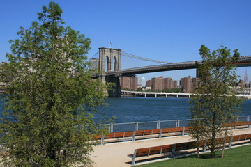 Fototapeta premium New York City.